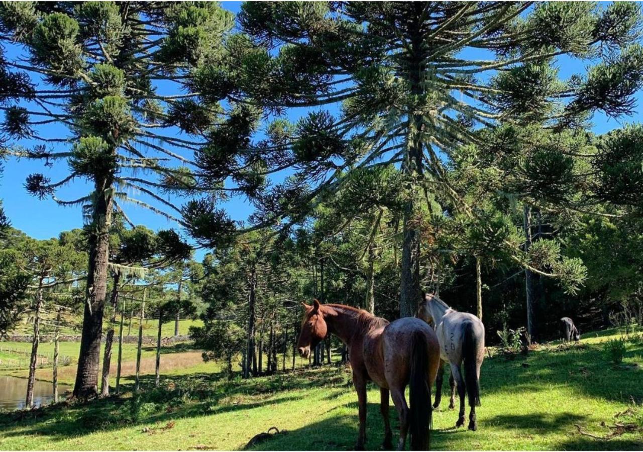 Fazenda Santa Rita Turismo Rural Bom Jardim da Serra Buitenkant foto