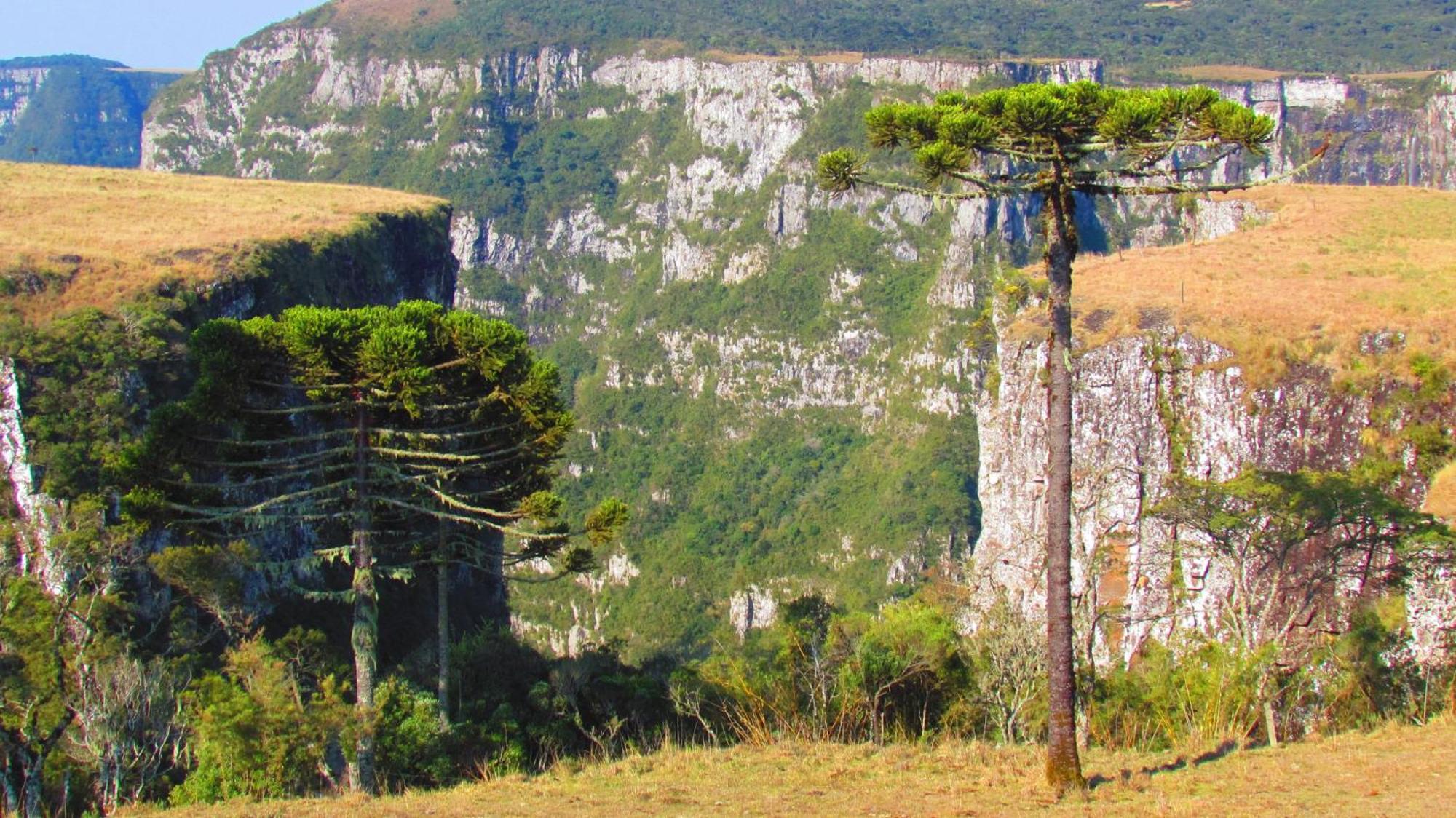 Fazenda Santa Rita Turismo Rural Bom Jardim da Serra Buitenkant foto